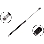 Order Lift Support by FCS AUTOMOTIVE - 84316 For Your Vehicle