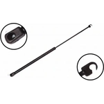 Order Lift Support by FCS AUTOMOTIVE - 84333 For Your Vehicle