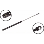 Order FCS AUTOMOTIVE - 84334 - Lift Support For Your Vehicle