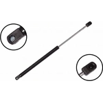 Order Lift Support by FCS AUTOMOTIVE - 84339 For Your Vehicle