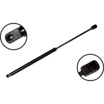 Order Lift Support by FCS AUTOMOTIVE - 84356 For Your Vehicle