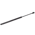 Order FCS AUTOMOTIVE - 84357 - Lift Support For Your Vehicle