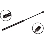 Order Lift Support by FCS AUTOMOTIVE - 84358 For Your Vehicle