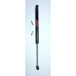Order Lift Support by FCS AUTOMOTIVE - 84361 For Your Vehicle