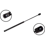 Order Lift Support by FCS AUTOMOTIVE - 84366 For Your Vehicle