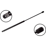 Order Lift Support by FCS AUTOMOTIVE - 84368 For Your Vehicle