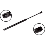 Order Lift Support by FCS AUTOMOTIVE - 84369 For Your Vehicle