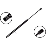 Order FCS AUTOMOTIVE - 84370 - Lift Support For Your Vehicle