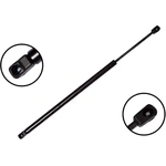 Order Lift Support by FCS AUTOMOTIVE - 84396 For Your Vehicle