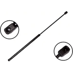 Order FCS AUTOMOTIVE - 84398 - Lift Support For Your Vehicle