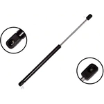 Order Lift Support by FCS AUTOMOTIVE - 84404 For Your Vehicle