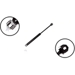 Order Lift Support by FCS AUTOMOTIVE - 84417 For Your Vehicle