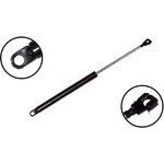 Order Lift Support by FCS AUTOMOTIVE - 84428 For Your Vehicle