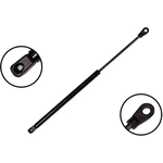 Order Lift Support by FCS AUTOMOTIVE - 84439 For Your Vehicle