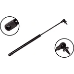 Order Lift Support by FCS AUTOMOTIVE - 84528 For Your Vehicle