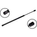 Order Lift Support by FCS AUTOMOTIVE - 84529 For Your Vehicle