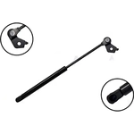 Order Lift Support by FCS AUTOMOTIVE - 84549R For Your Vehicle