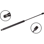 Order Lift Support by FCS AUTOMOTIVE - 84555 For Your Vehicle