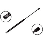 Order Lift Support by FCS AUTOMOTIVE - 84556 For Your Vehicle