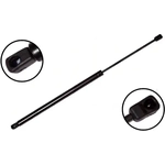 Order Lift Support by FCS AUTOMOTIVE - 84561 For Your Vehicle