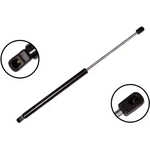 Order Lift Support by FCS AUTOMOTIVE - 84572 For Your Vehicle