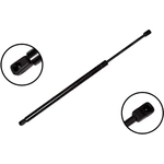 Order Lift Support by FCS AUTOMOTIVE - 84574 For Your Vehicle