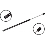 Order Lift Support by FCS AUTOMOTIVE - 84575 For Your Vehicle