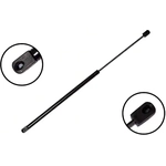 Order FCS AUTOMOTIVE - 84576 - Lift Support For Your Vehicle