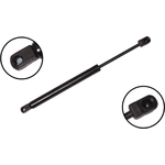 Order Lift Support by FCS AUTOMOTIVE - 84578 For Your Vehicle