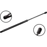 Order Lift Support by FCS AUTOMOTIVE - 84589 For Your Vehicle