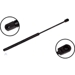 Order Lift Support by FCS AUTOMOTIVE - 84601 For Your Vehicle