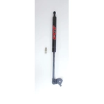 Order Lift Support by FCS AUTOMOTIVE - 84606 For Your Vehicle