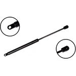 Order Lift Support by FCS AUTOMOTIVE - 84619 For Your Vehicle