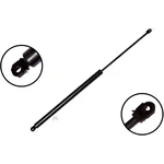 Order Lift Support by FCS AUTOMOTIVE - 84630 For Your Vehicle