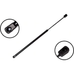 Order Lift Support by FCS AUTOMOTIVE - 84636 For Your Vehicle