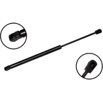 Order Lift Support by FCS AUTOMOTIVE - 84642 For Your Vehicle