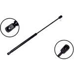 Order Lift Support by FCS AUTOMOTIVE - 84647 For Your Vehicle