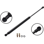 Order Lift Support by FCS AUTOMOTIVE - 84648 For Your Vehicle