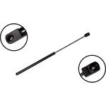 Order Lift Support by FCS AUTOMOTIVE - 84678 For Your Vehicle