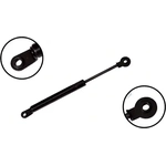 Order Lift Support by FCS AUTOMOTIVE - 84679 For Your Vehicle