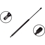 Order Lift Support by FCS AUTOMOTIVE - 84703 For Your Vehicle