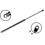 Order Lift Support by FCS AUTOMOTIVE - 84714 For Your Vehicle