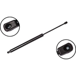 Order Lift Support by FCS AUTOMOTIVE - 84754 For Your Vehicle