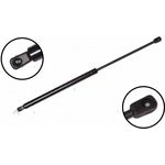 Order Lift Support by FCS AUTOMOTIVE - 84758 For Your Vehicle