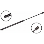 Order Lift Support by FCS AUTOMOTIVE - 84761 For Your Vehicle