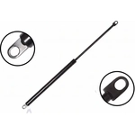 Order Lift Support by FCS AUTOMOTIVE - 84775 For Your Vehicle