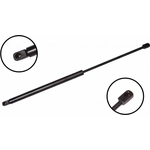 Order Lift Support by FCS AUTOMOTIVE - 84776 For Your Vehicle