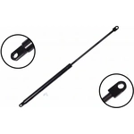 Order Lift Support by FCS AUTOMOTIVE - 84788 For Your Vehicle