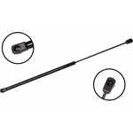 Order Lift Support by FCS AUTOMOTIVE - 84794 For Your Vehicle