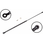 Order Lift Support by FCS AUTOMOTIVE - 84808 For Your Vehicle